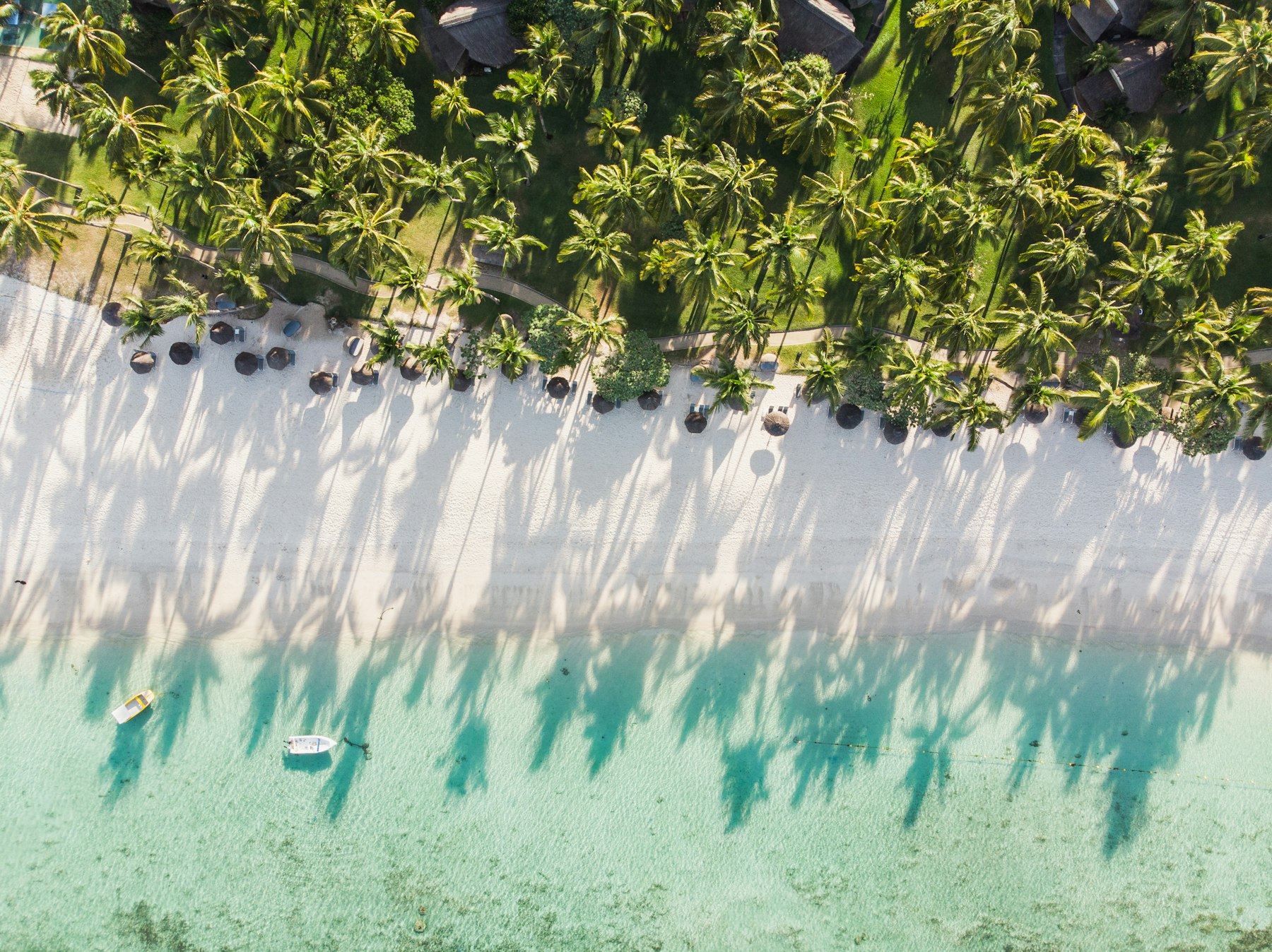 Palm shadows across white sand seen from the air