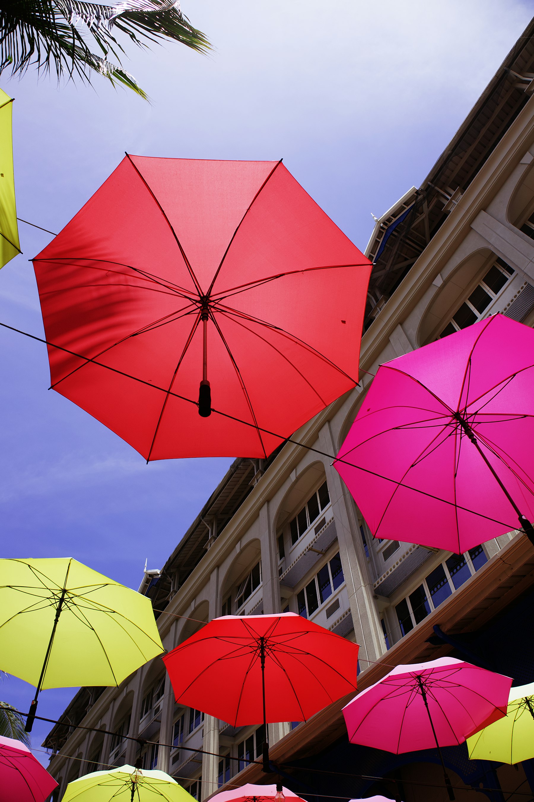 The coloured umbrella canopy at Caudan Waterfront, Port Louis