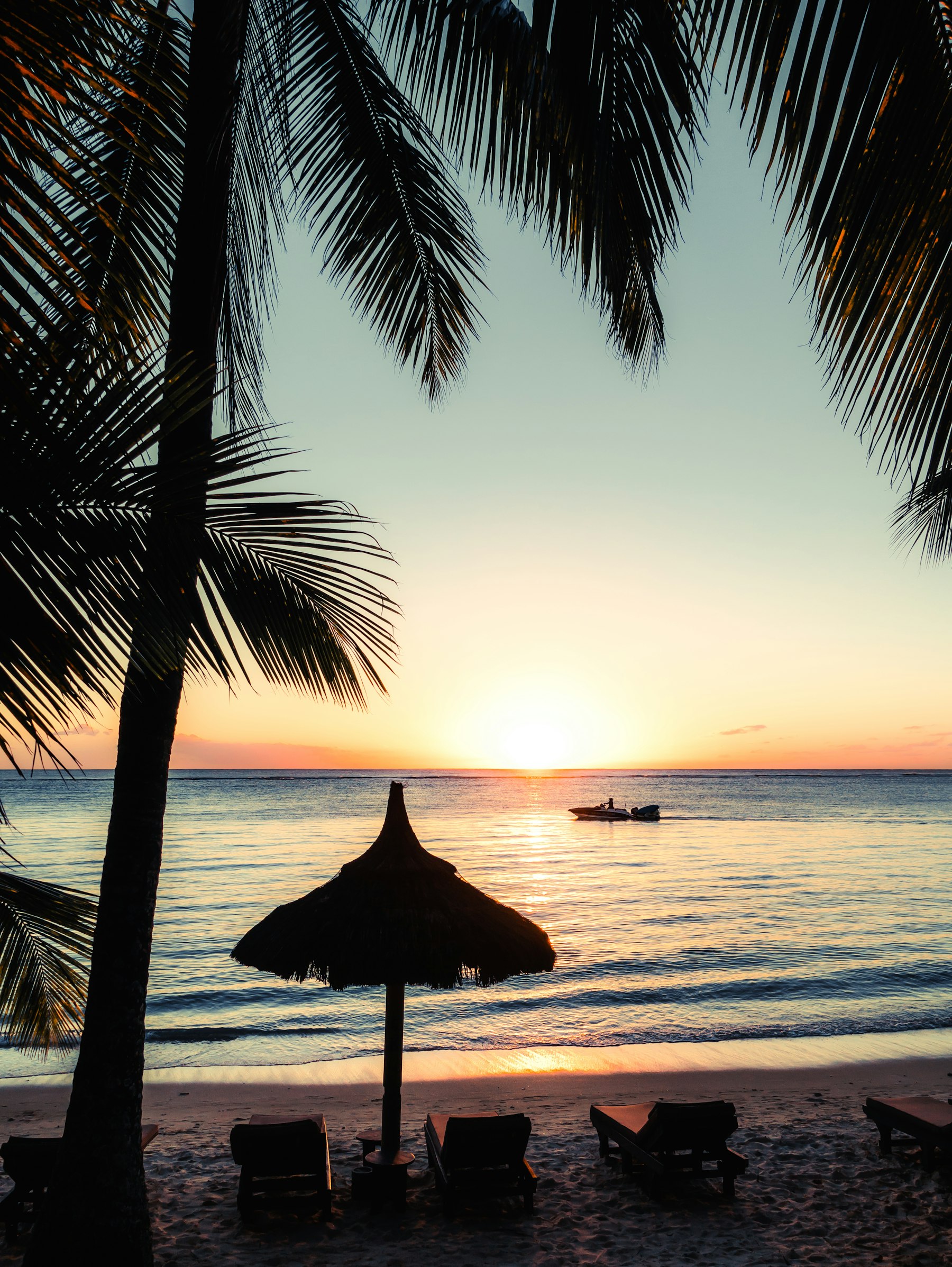 Sunset over the sea through palm trees in Mauritius